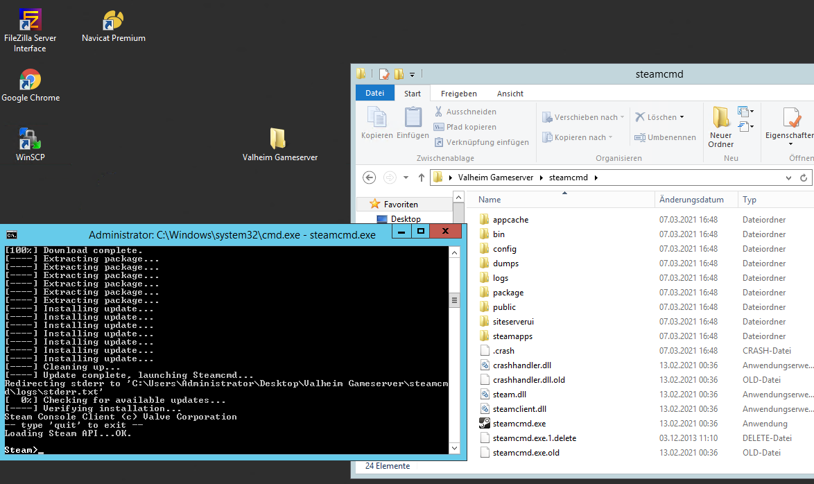 SteamCMD ist Einsatzbereit